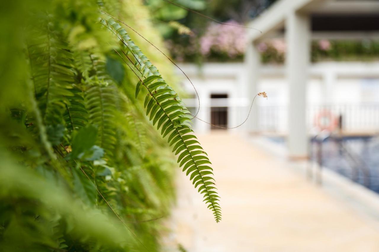 Munting Paraiso Puerto Princesa Екстериор снимка